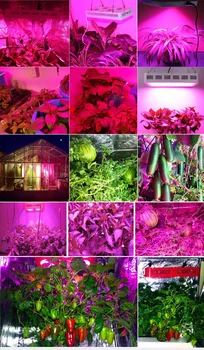 VA Dimmable X3 900W LED grow light пълен спектър на UV и IR за оранжерийни стайни растения, зеленчуци и цветя хидропонно системи